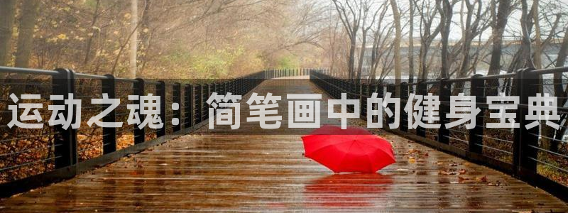 南宫大舞台官方正版app新能源