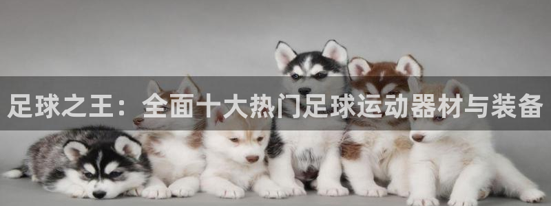 南宫大舞台官网下载开户