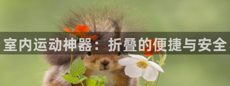 南宫大舞台官网下载招商电话地址：室内运动神器：折叠的便捷与安