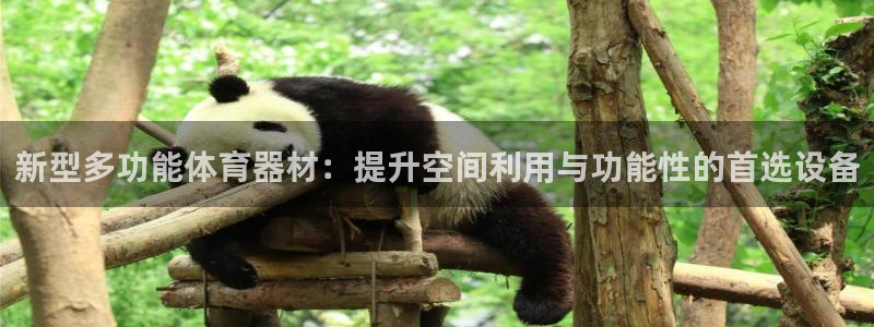 南宫大舞台官方正版app官方：新型多功能体育器材：提升空间利