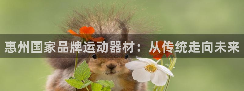 南宫大舞台官方正版app开户：惠州国家品牌运动器材：从传统走