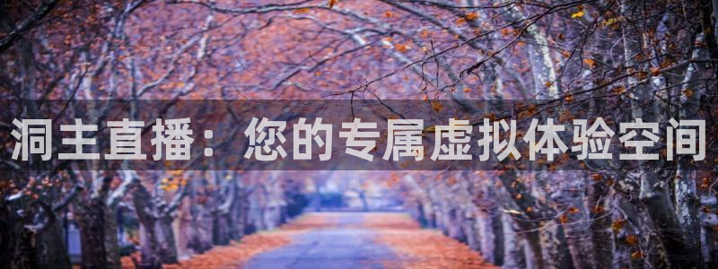 袋鼠体育：洞主直播：您的专属虚拟体验空间