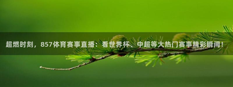 袋鼠直播nba在线观看：超燃时刻，857体育赛事直播：看世界杯、中超等大热门赛事精彩瞬间！