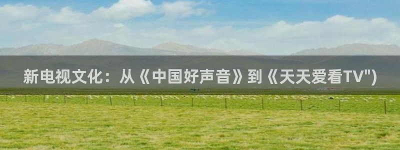 袋鼠直播体育免费直播：新电视文化：从《中国好声音》到《天天爱看TV\