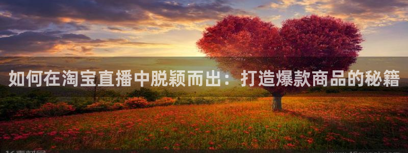 袋鼠直播看nba比赛：如何在淘宝直播中脱颖而出：打造爆款商品的秘籍