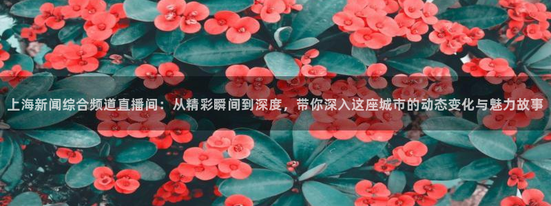 袋鼠直播体育五大球联赛：上海新闻综合频道直播间：从精彩瞬间到深度，带你深入这座城市的动态变化与魅力故事