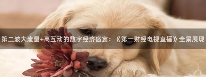 袋鼠直播看nba比赛：第二波大流量+高互动的数字经济盛宴：《第一财经电视直播》全景展现