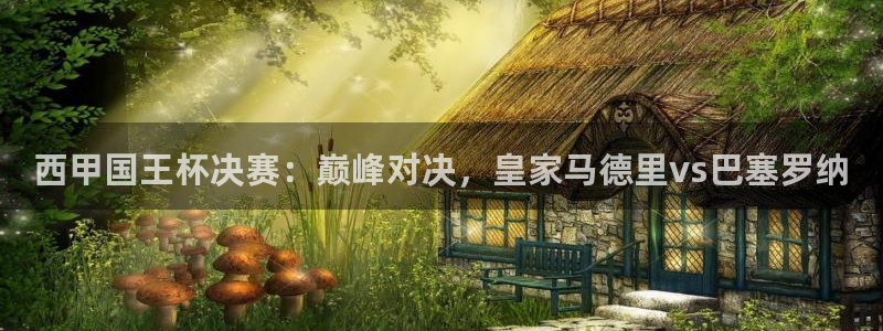 袋鼠直播在线观看：西甲国王杯决赛：巅峰对决，皇家马德里vs巴塞罗纳