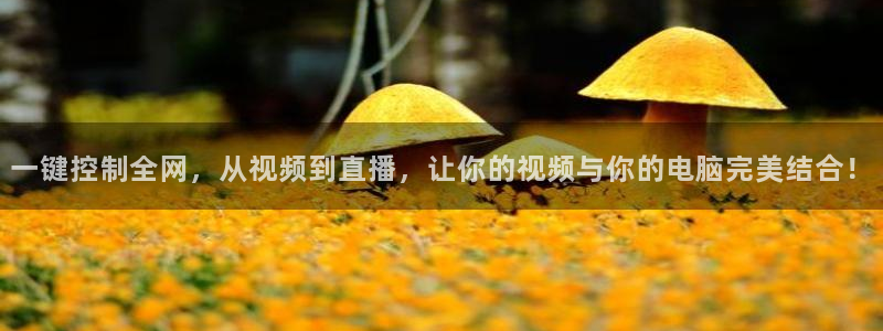 袋鼠体育app：一键控制全网，从视频到直播，让你的视频与你的电脑完美结合！