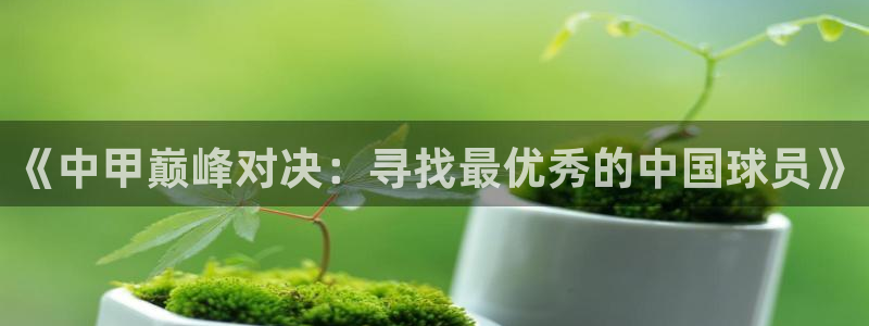 袋鼠直播体育.新网页.org：《中甲巅峰对决：寻找最优秀的中国球员》