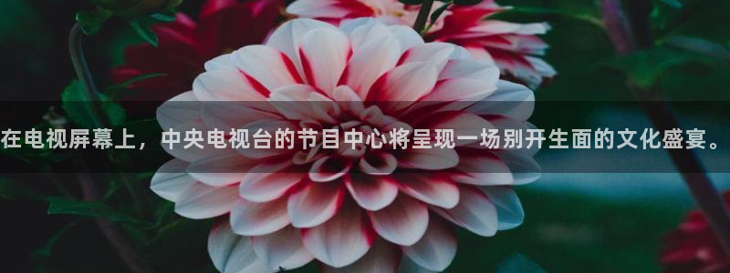 袋鼠直播体育新升级页面.全网通.org：在电视屏幕上，中央电视台的节目中心将呈现一场别开生面的文化盛宴。