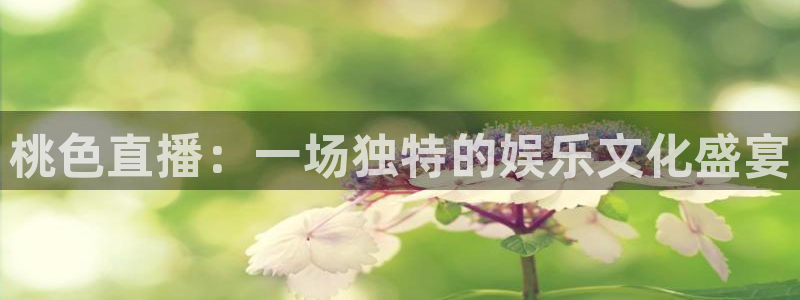 袋鼠直播nba免费观看篮球：桃色直播：一场独特的娱乐文化盛宴