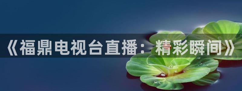 袋鼠直播体育五大球联赛：《福鼎电视台直播：精彩瞬间》